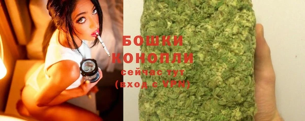 винт Новозыбков