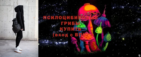 спайс Нея