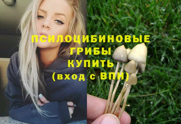 винт Новозыбков
