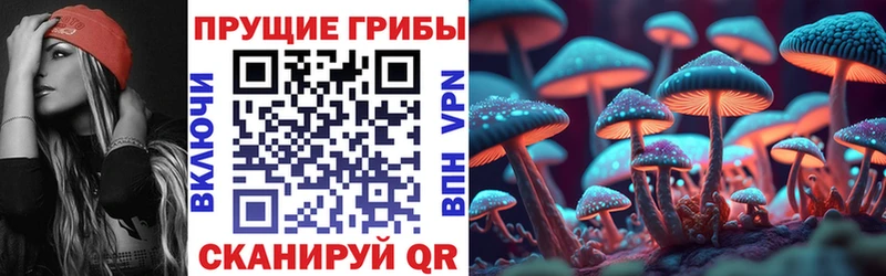 Псилоцибиновые грибы GOLDEN TEACHER  ссылка на мегу маркетплейс  Кирс 
